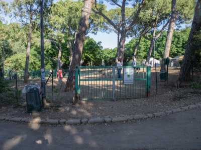 A Carrassi sono presenti due grandi aree di sgambamento: una creata nel 2020 all�interno del Parco 2 giugno, la seconda inaugurata nel 2023 in una zona del Parco Rossani. La prima � probabilmente la pi� ospitale di tutta la citt�

